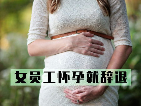 女子怀孕5个月被解聘 律师:可通过三途径维权